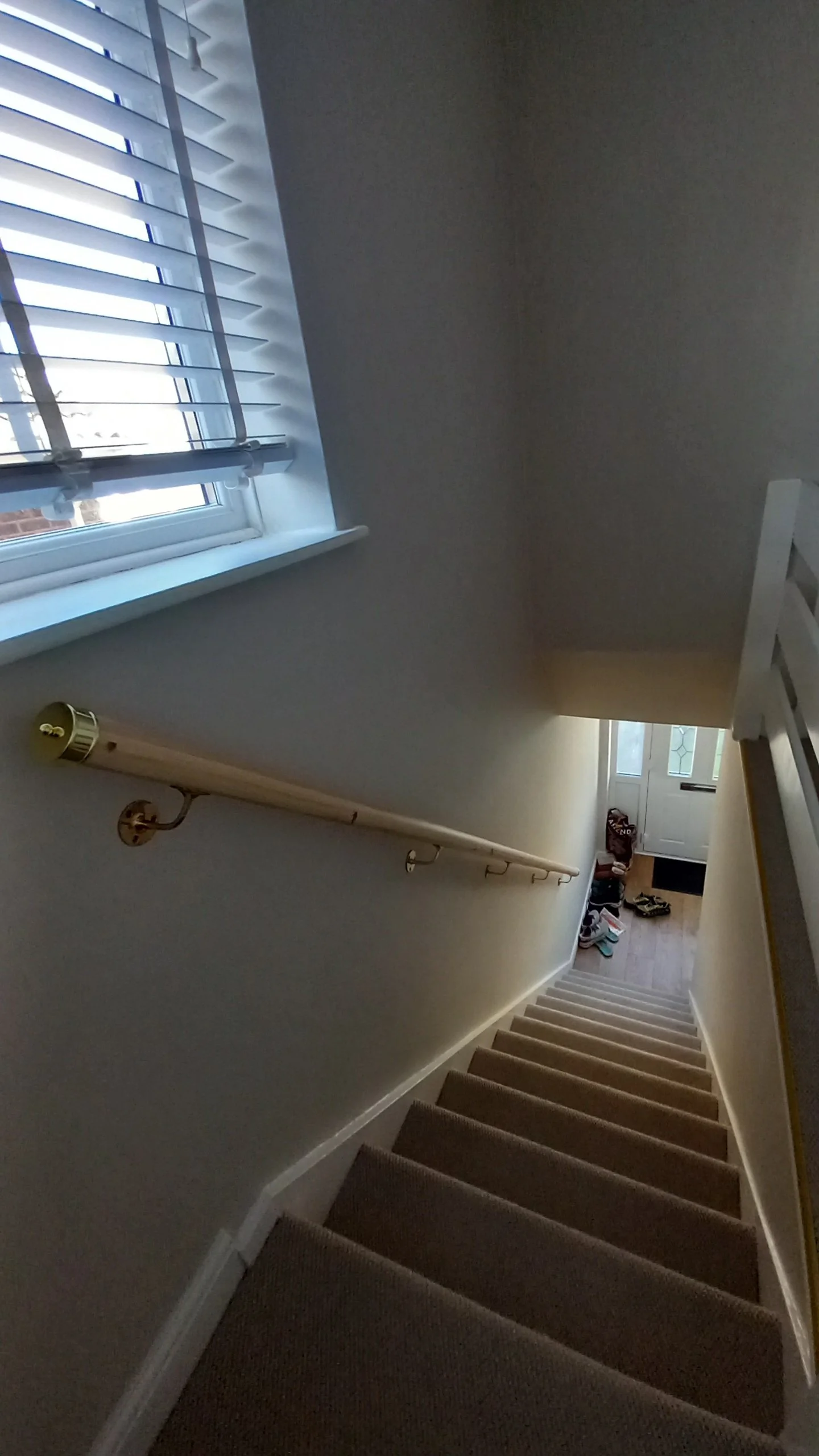 20260424_154950.jpg