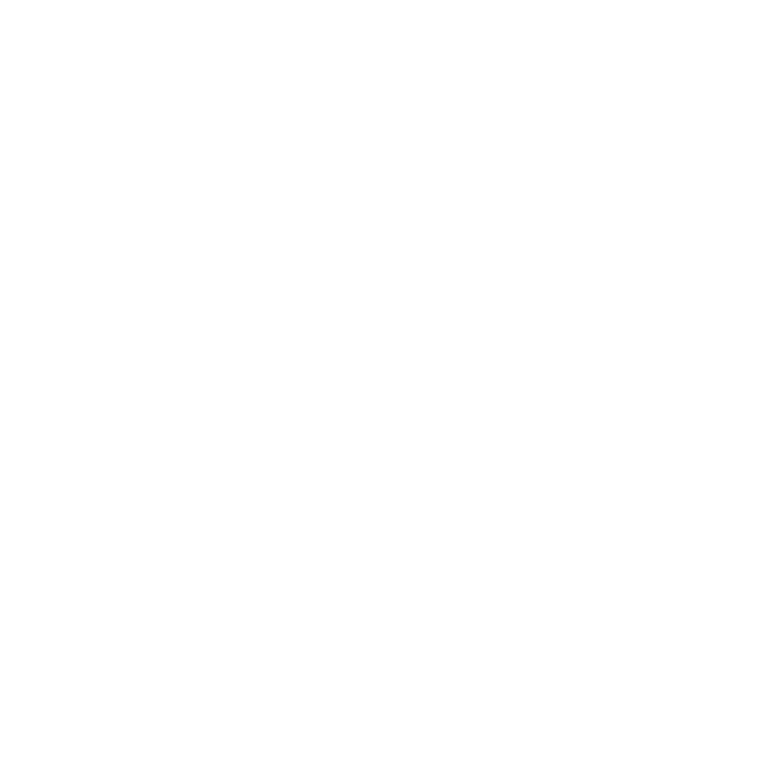 Salon XV Logo