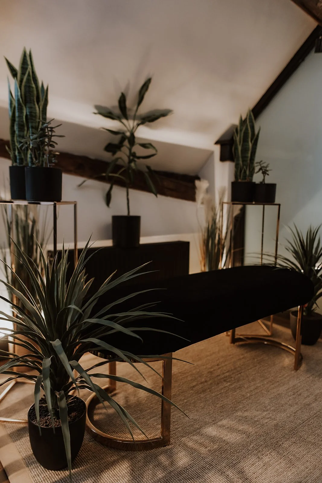 Interior of the upstairs at Salon XV in Oswestry with a black velvet bench, gold metal frame, and tall potted plants with long, narrow leaves.