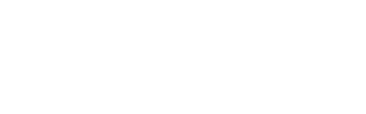 Logo 6