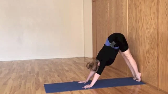 Handstand Prep