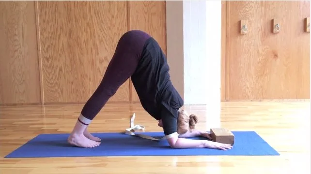 Pincha Down Dog Shoulder Opener