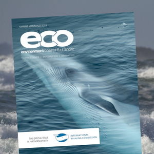 Doing Business on Mighty Waters - Uncrewed