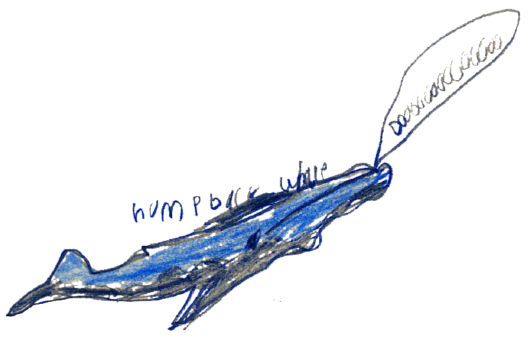 20_humpback.webp