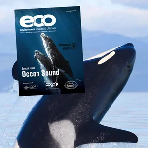 Ocean Acoustic Observatories to the Rescue of Marine Life