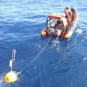 1 year of wide-area acoustic monitoring in the Falkland Islands