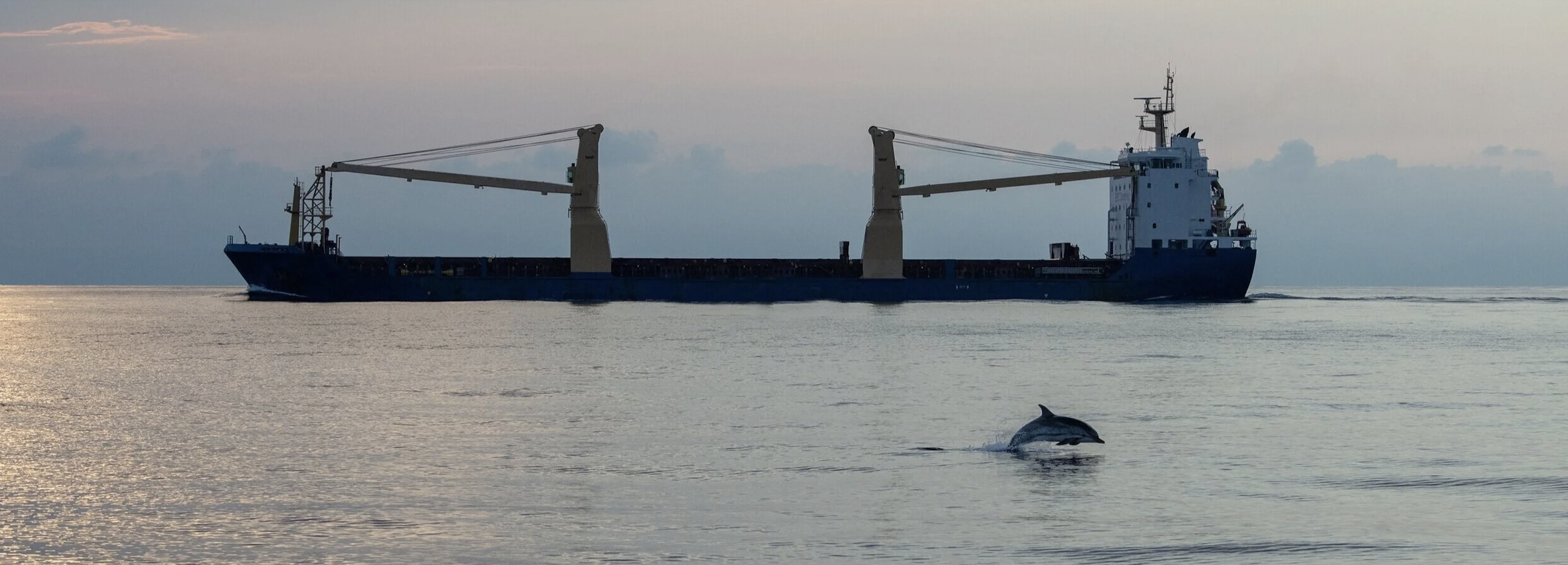 With JASCO among its partners, SATURN seeks solutions to underwater noise