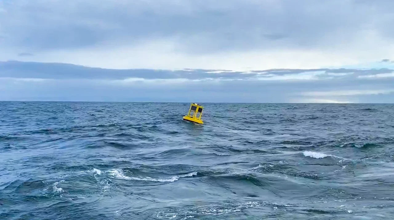 DRDC monitors for marine mammals in Navy training areas with JASCO ObserverBuoys