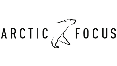 How underwater acoustics can help us better understand hooded seals