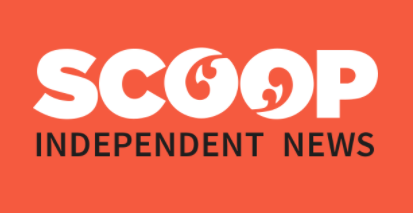 Unique research records rare whale species in Cook Strait