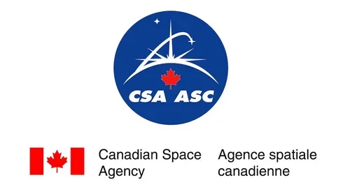 Can space technology help reduce chronic stress experienced by whales?