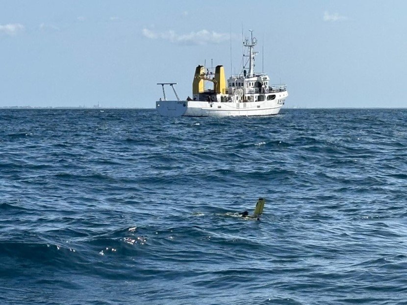 REPMUS 2025_Glider in water.jpg