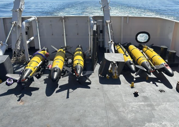 REPMUS 2025_6 Gliders.png