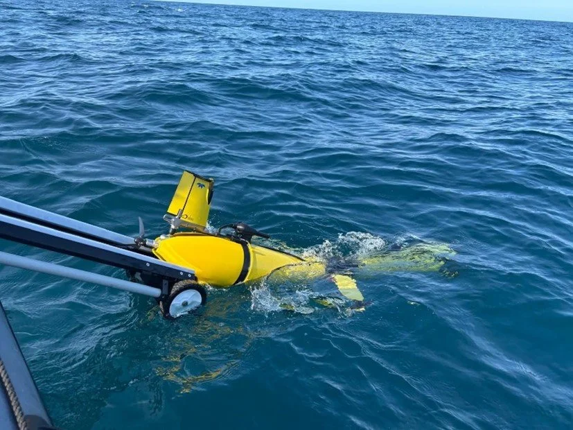 REPMUS 2025_Glider submerging.jpg