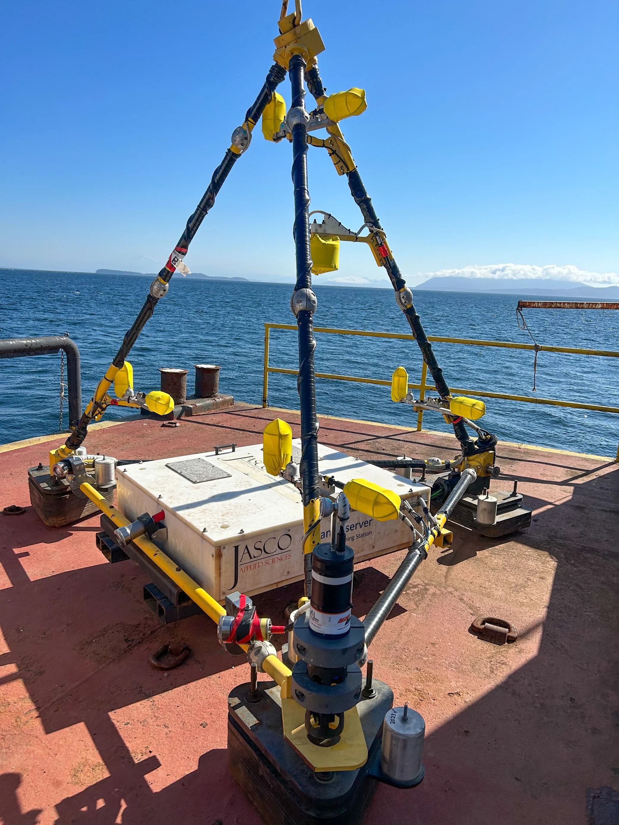 Image (20)_edited.jpg