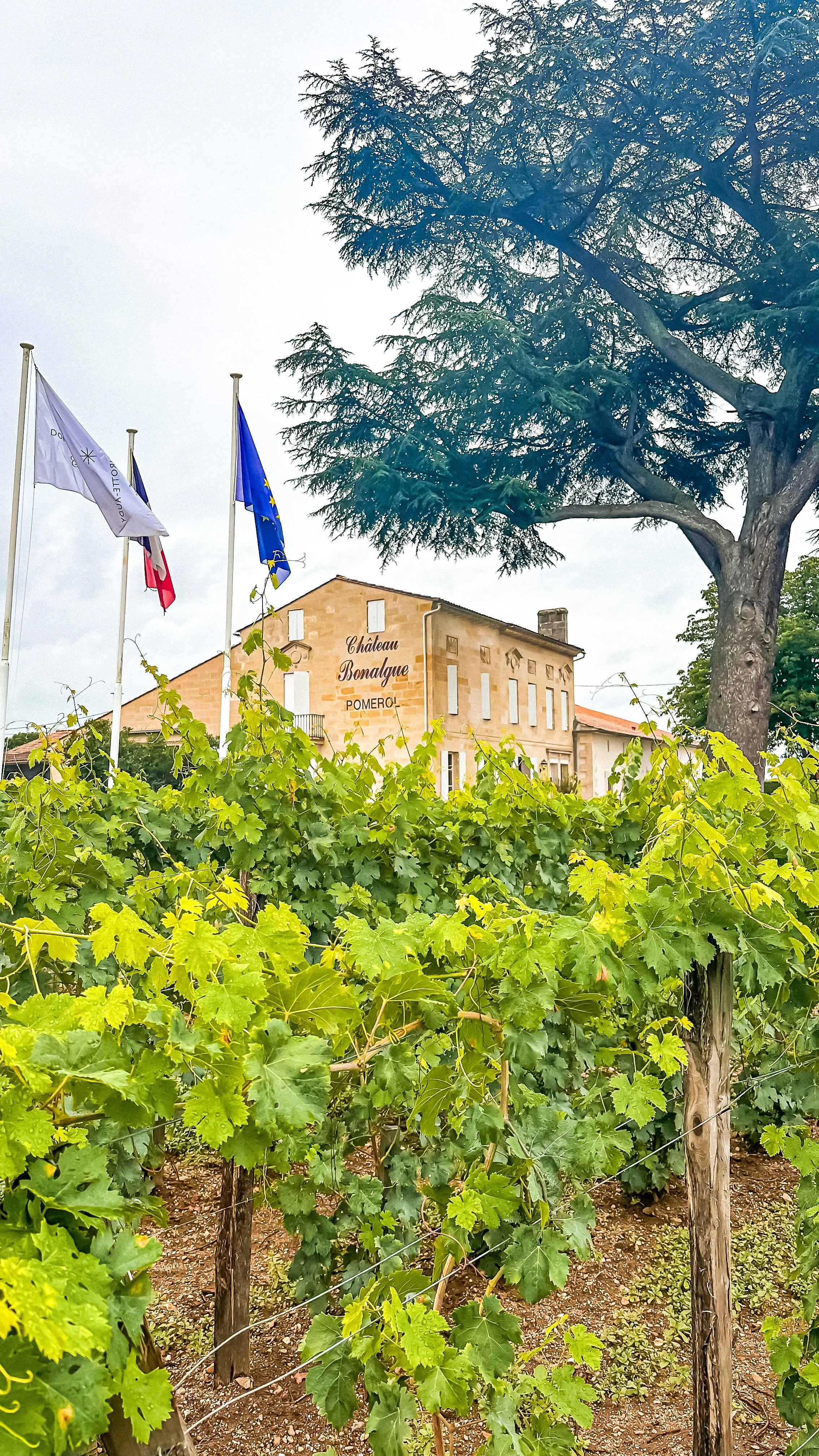 wander-senses-saint-emilion-chateau-bonalgue-pomerol-wine-france.jpg
