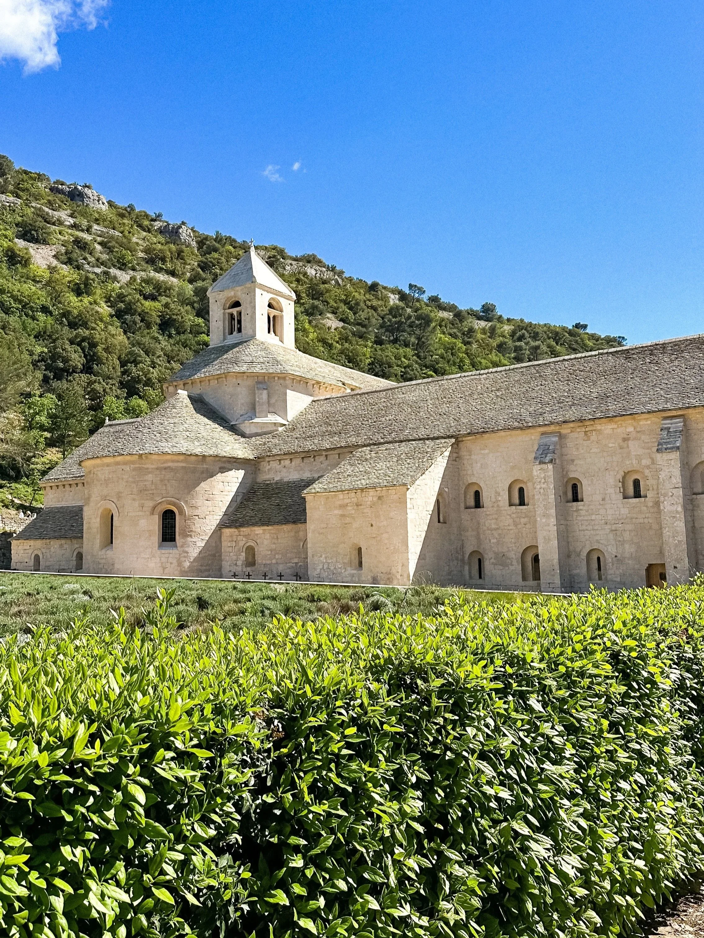 wander-senses-provence-senanque-abbaye-lavander-fields.jpg