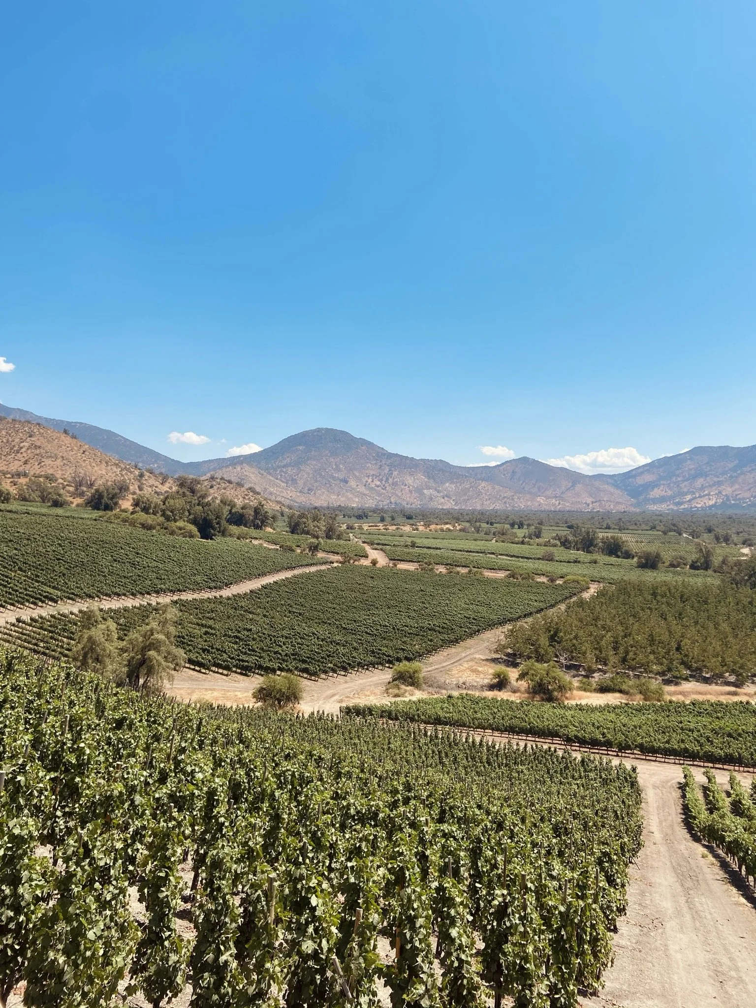 wander-senses-view-Viña-el-principal-vineyard-santiago-chile.JPEG