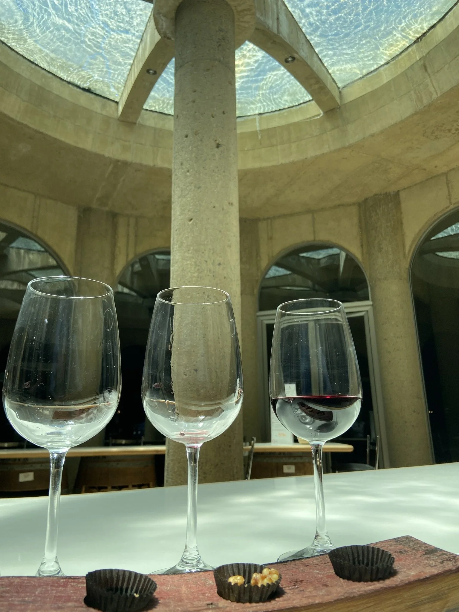 wander-senses-Viña-Haras-de-Pirque-vineyard-wine-tasting-santiago-chile.JPEG