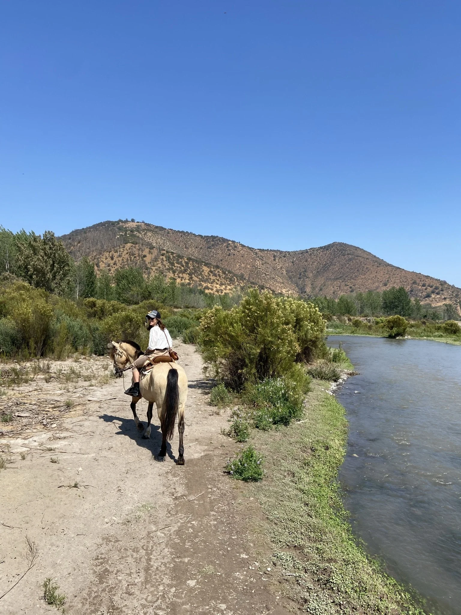wander-senses-river-horse-riding-maipo-valley-santiago-chile.JPEG