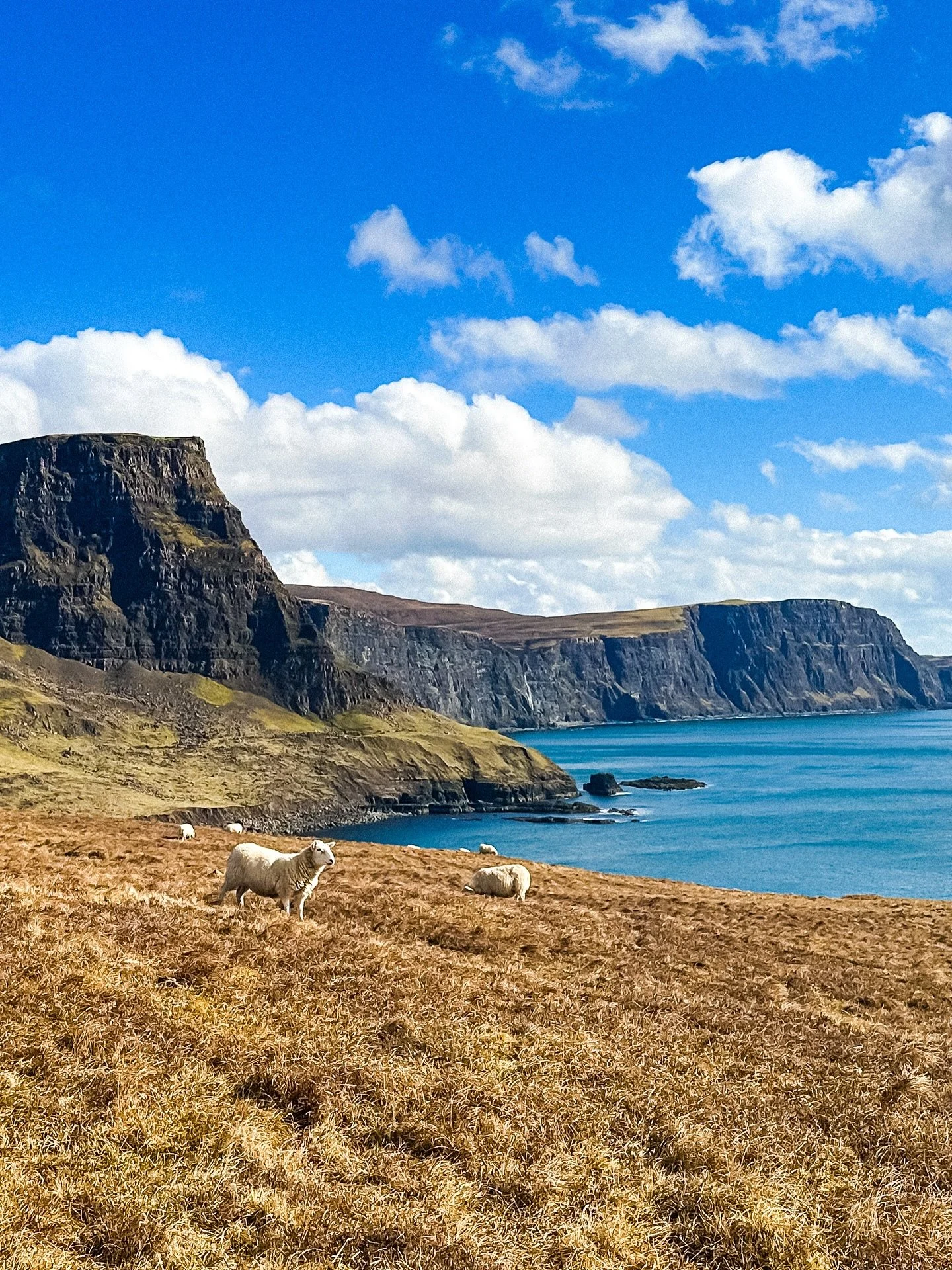 The Isle of Skye feels like a world apart. Days that move from sun to rain to snow and always end in rainbows. I have never seen so many in one place. The silence, the space and the endless sheep make the island feel truly magical.

📍 Places to wand