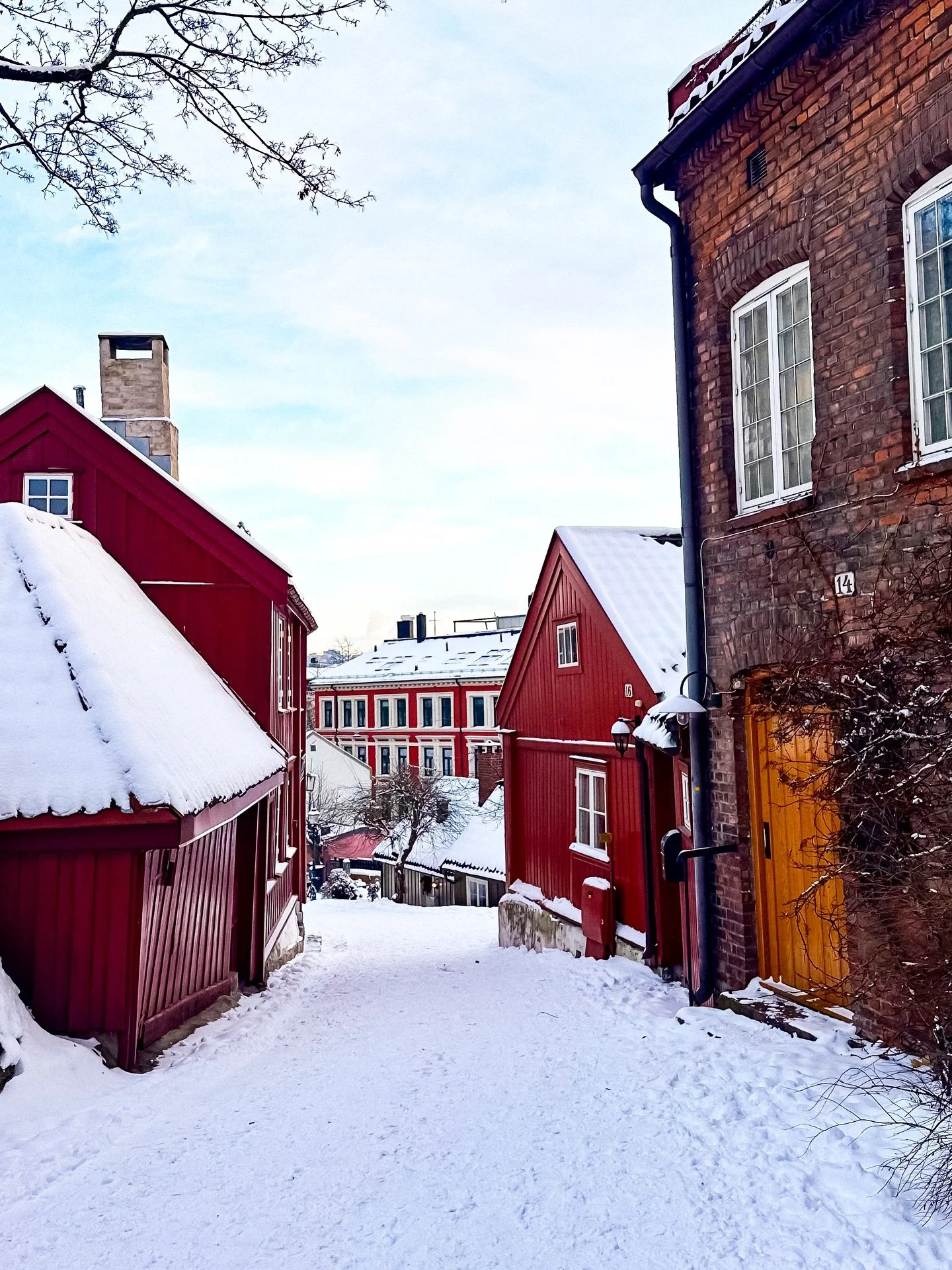 Winter gives Oslo a quiet, luminous beauty. Soft pastels at sunrise, golden light over snow-kissed streets and calm moments in parks that feel made for contemplation. December casts a gentle enchantment across the city &mdash; from warm caf&eacute;s 