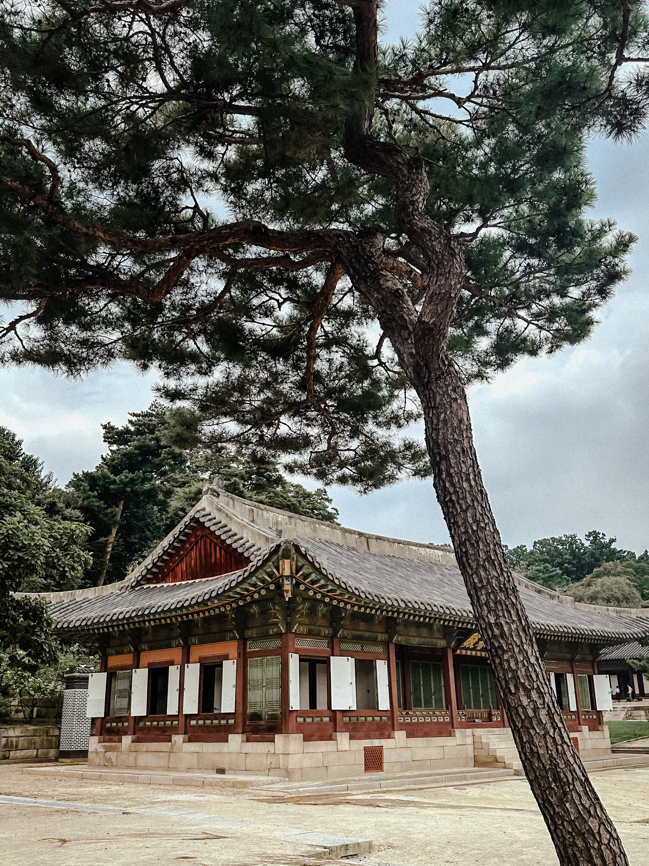 wander-senses-Changdeokgung-Palace-gardens-seoul-south-korea.png