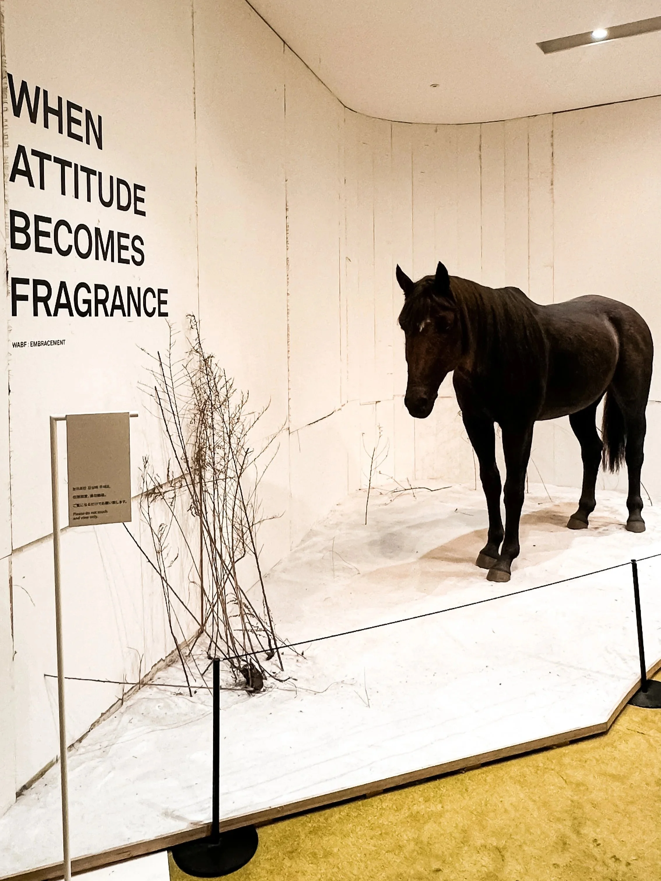 wander-senses-tamburins-fragrance-store-horse-robot-seoul-south-korea.jpg