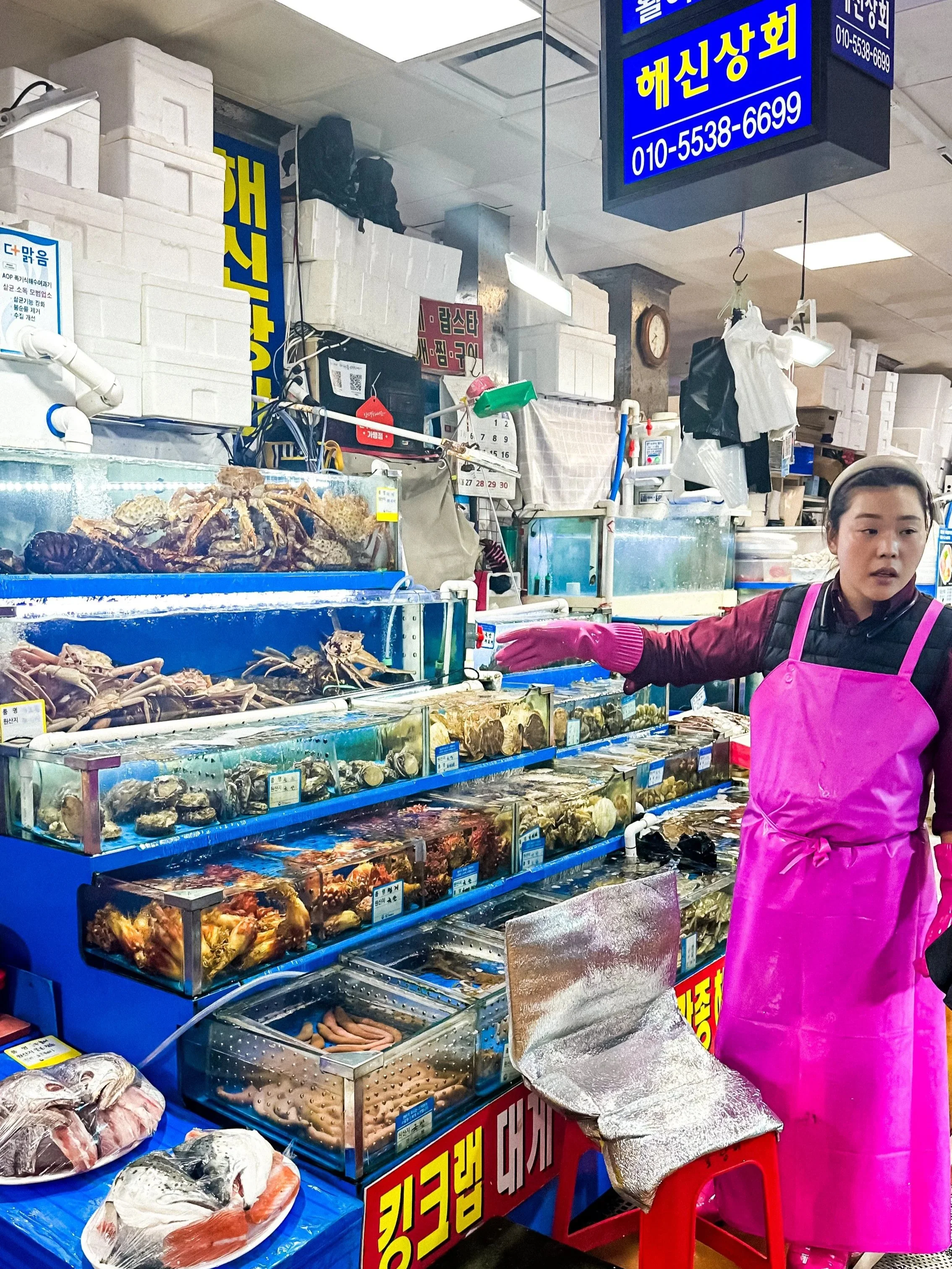 wander-senses-Noryangjin-Fish-Market-aquariums-seoul-south-korea.jpg