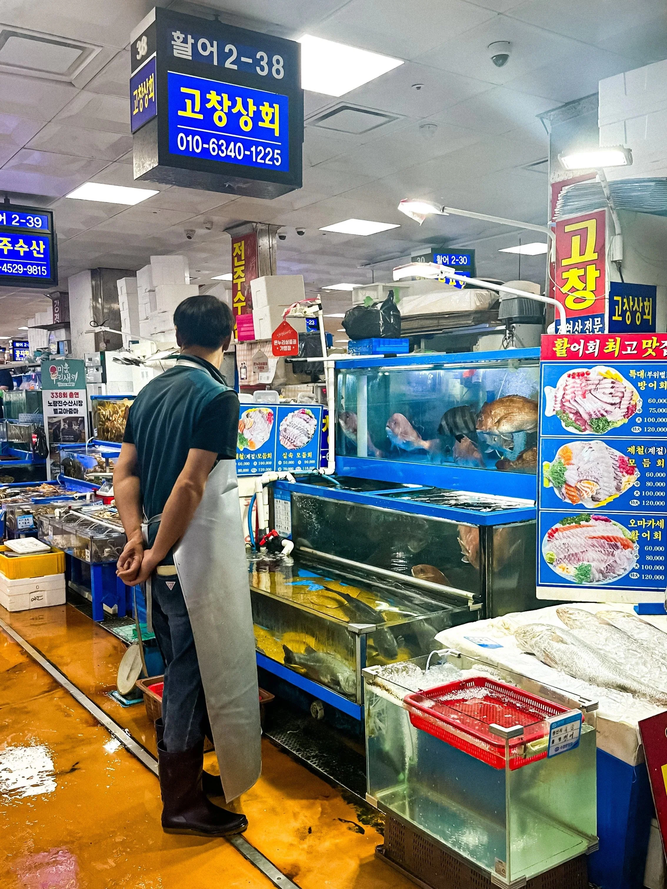 wander-senses-Noryangjin-Fish-Market-aquariums-seoul-south-korea.jpg