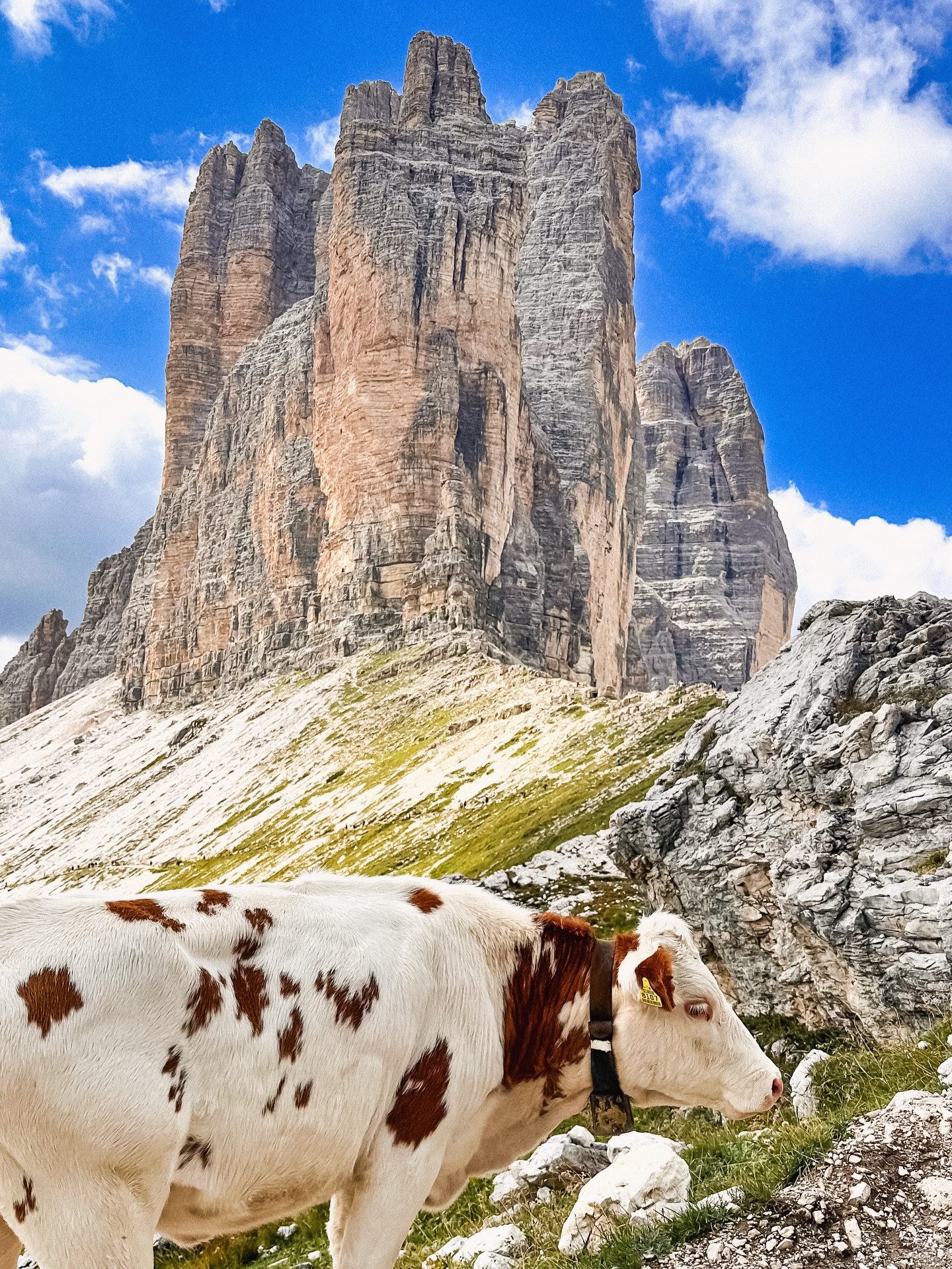 Three peaks. One of the most unforgettable landscapes in the Dolomites.

Tre Cime di Lavaredo has become a true symbol of the region. These dramatic limestone towers rise sharply above alpine meadows and rocky trails, creating one of the most strikin