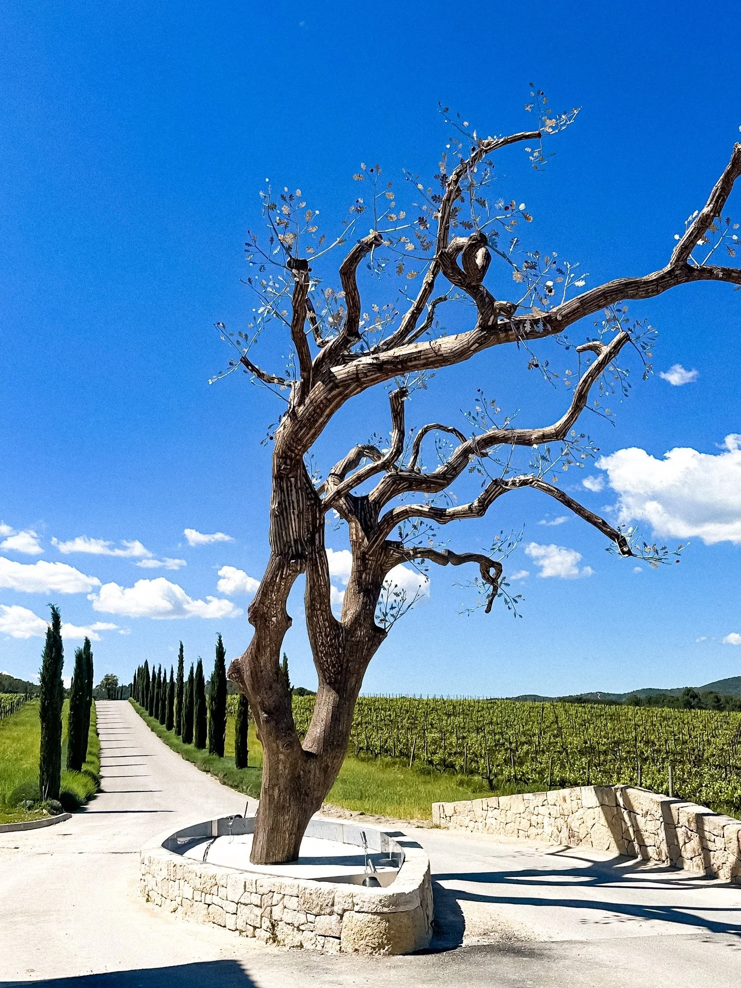 Quietly one of the most refined places in Provence.

Set in the countryside near Aix en Provence, Chateau Lacoste blends vineyards with contemporary art installations and pavilions designed by some of the world&rsquo;s most renowned architects.

As y