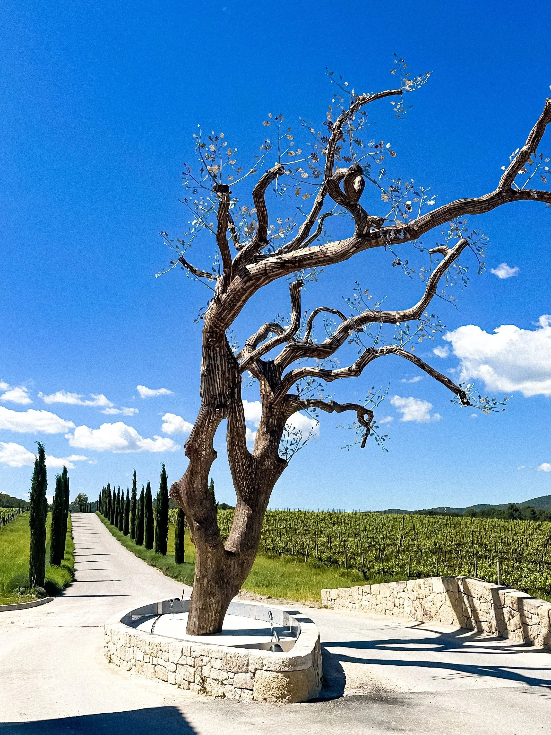 wander-senses-chateau-la-coste-art-installations.jpg