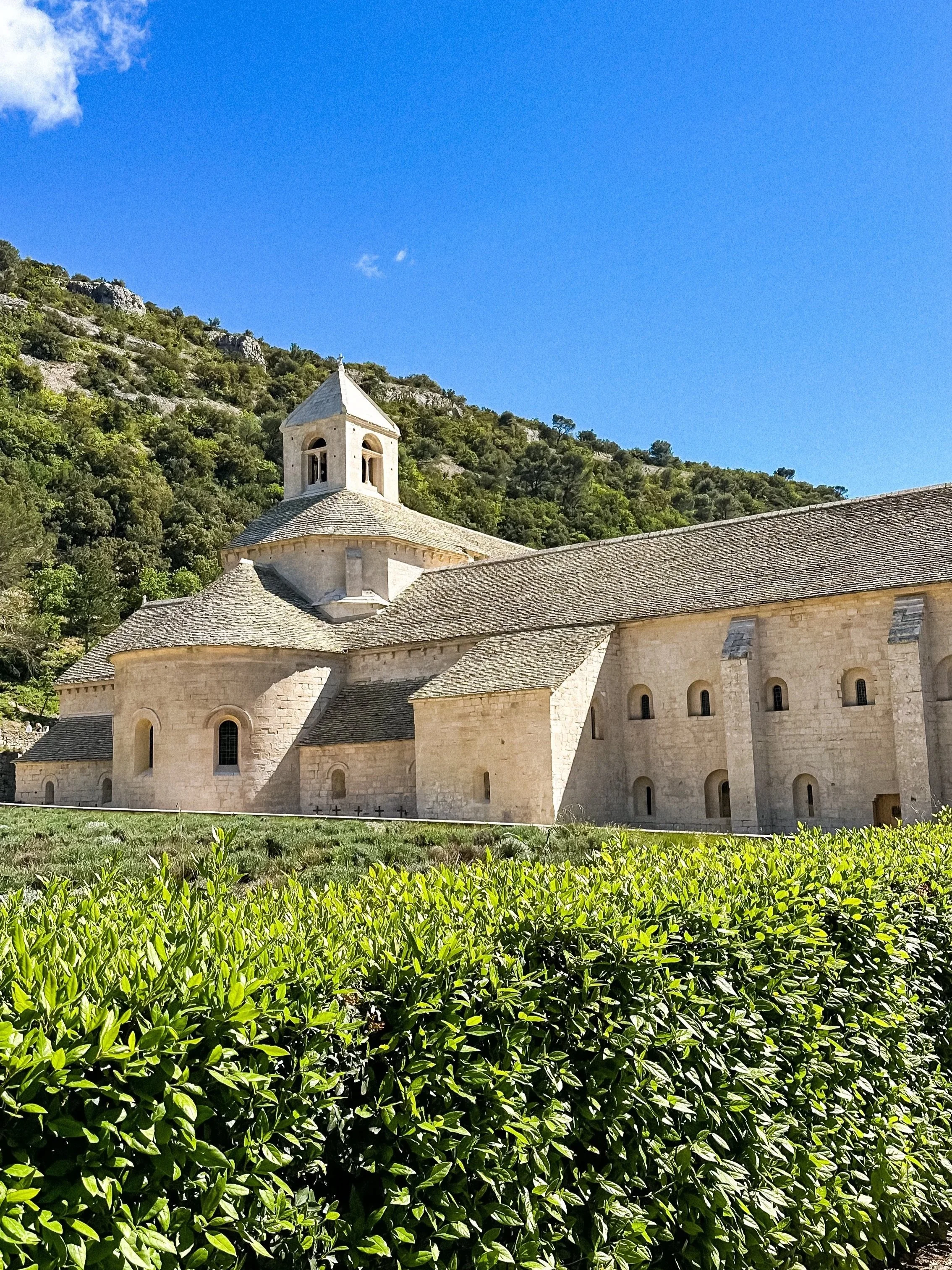 wander-senses-senanque-abbaye-exterior-gardens.jpg