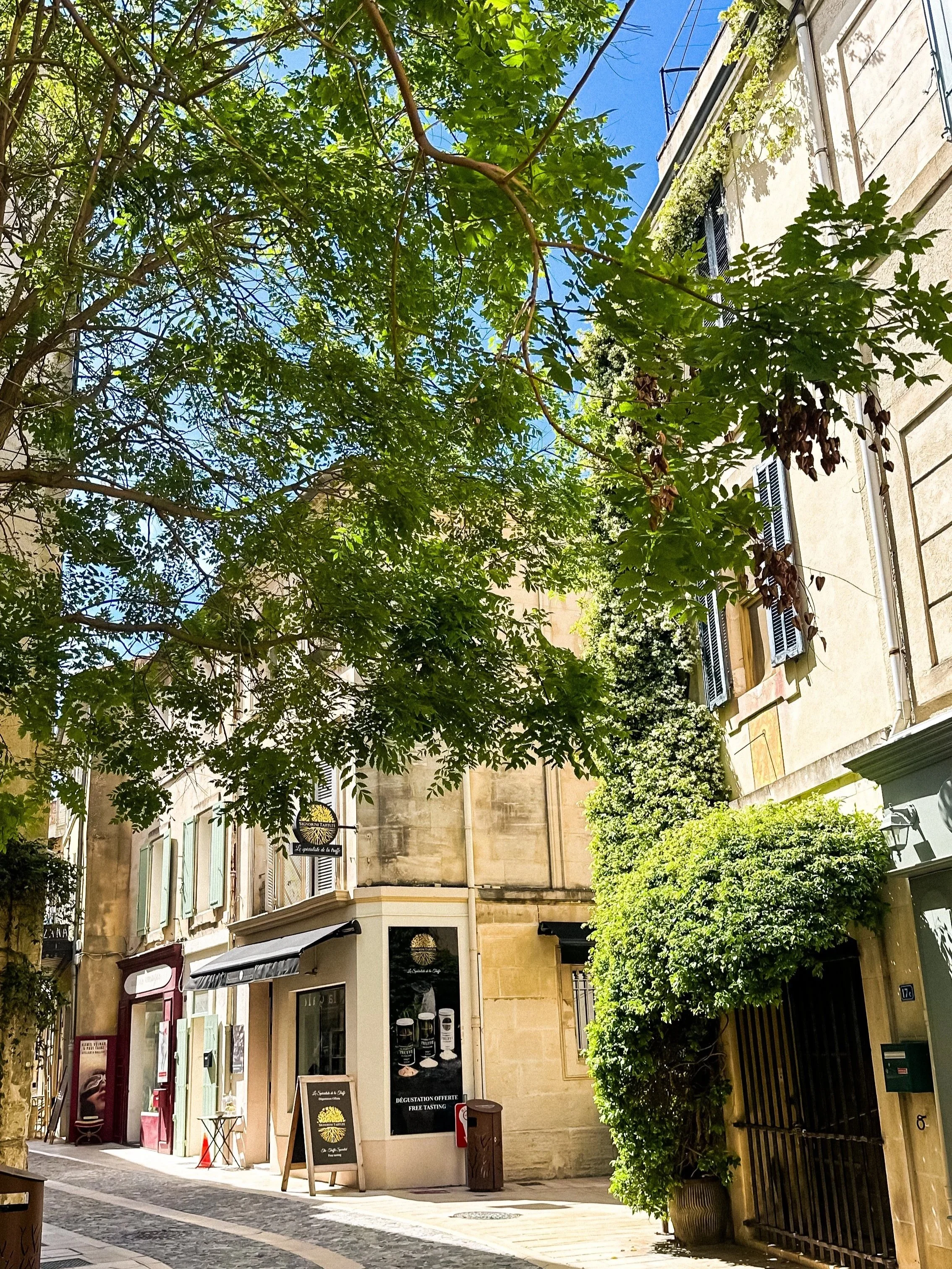 wander-senses-little-provencal-houses-saint-remy-de-provence.jpg
