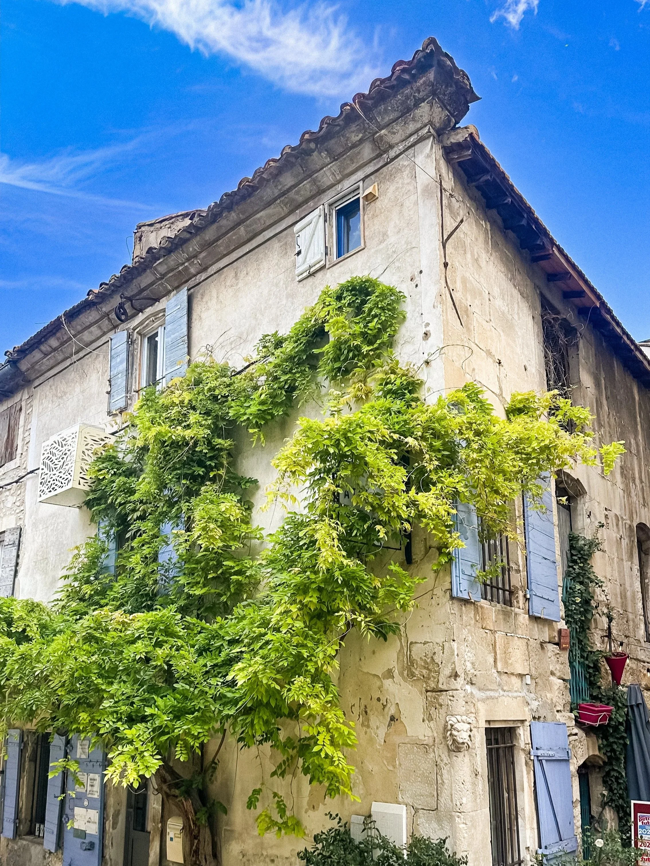 wander-senses-little-provencal-house-with-blue-window-and-green-trees-saint-remy-de-provence.jpg