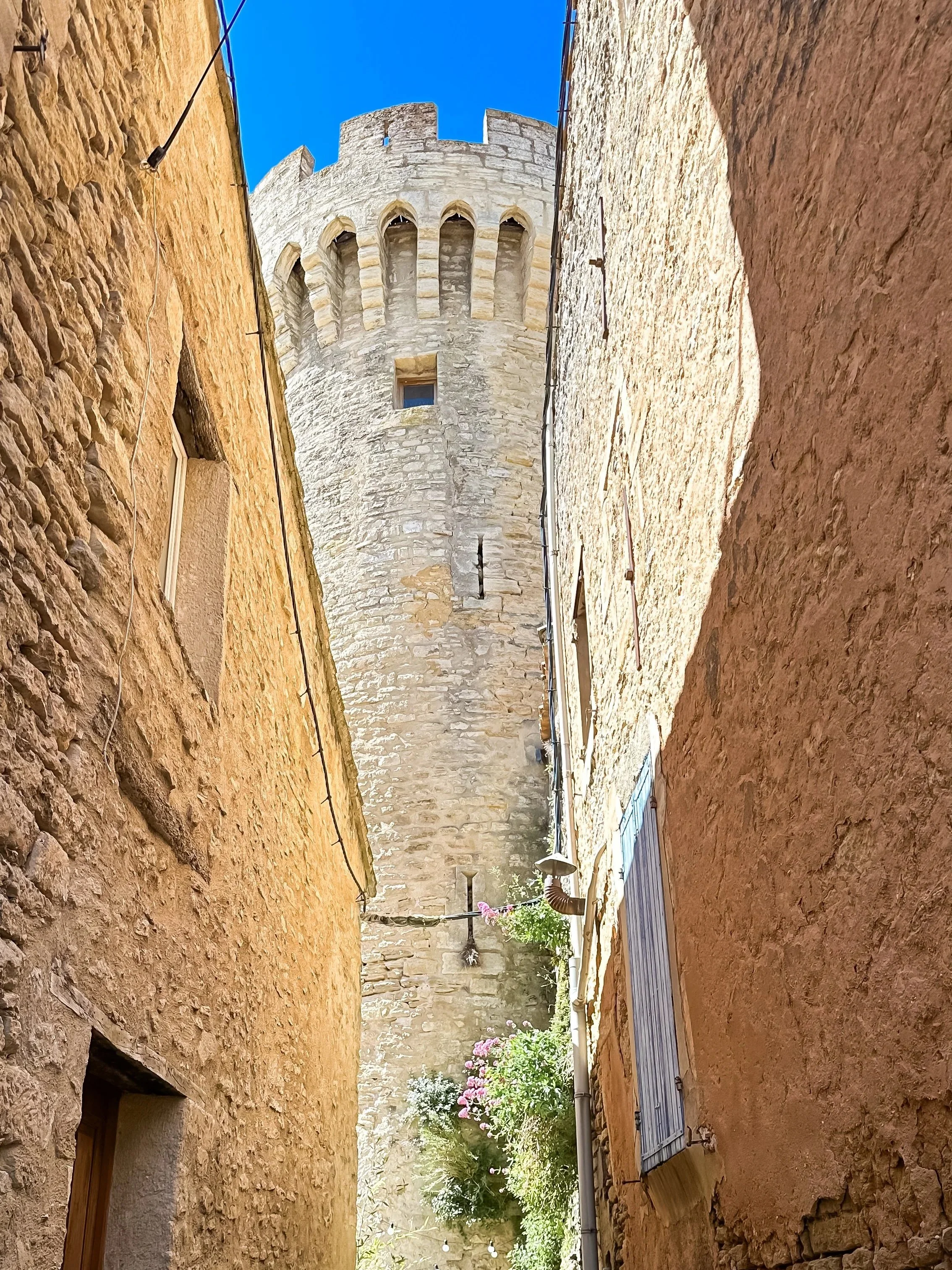 IMG_2919_jpg.jpg