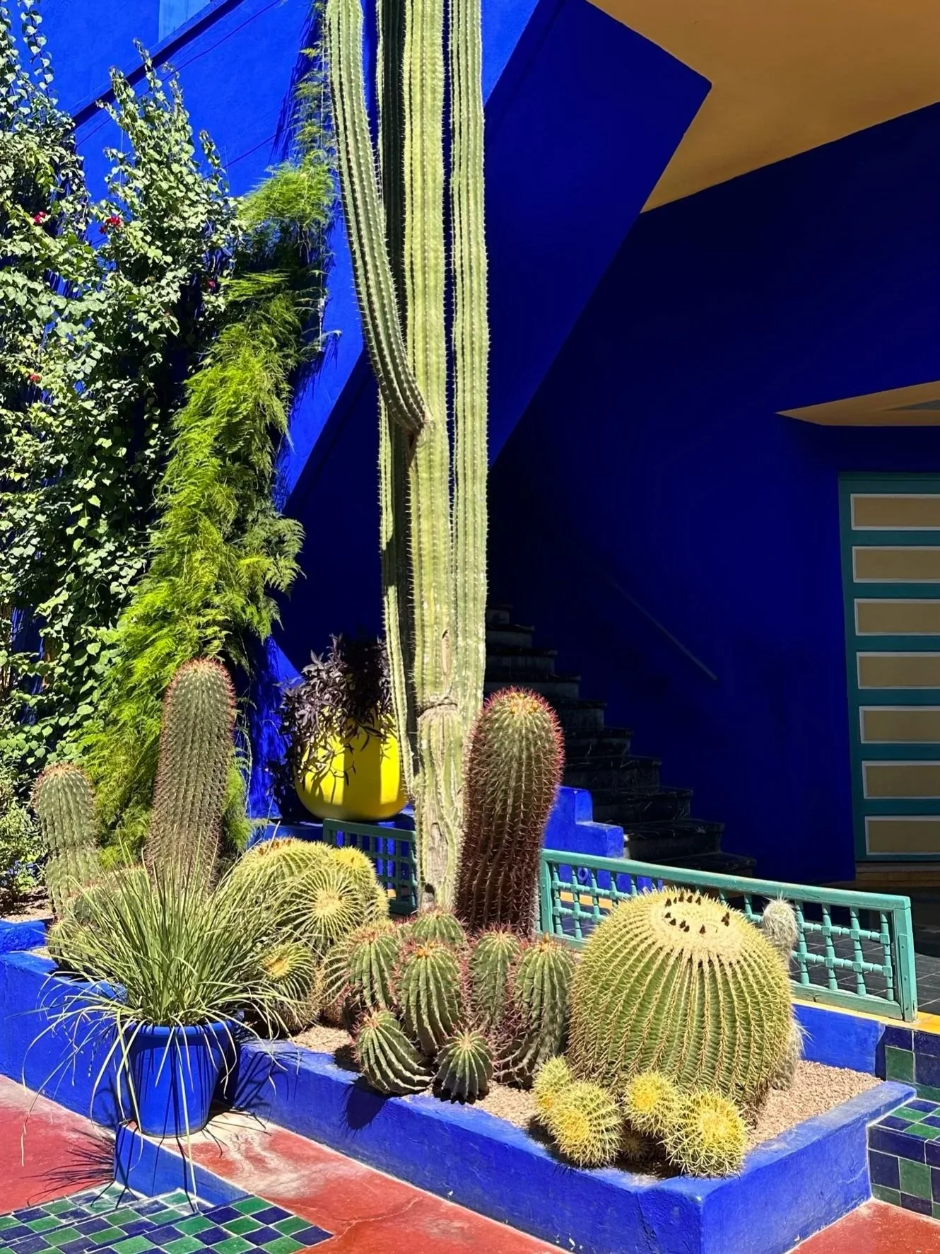 wander-senses-marrakech-jardin-majorelle-gardens-blue-and-yellow-house.jpg