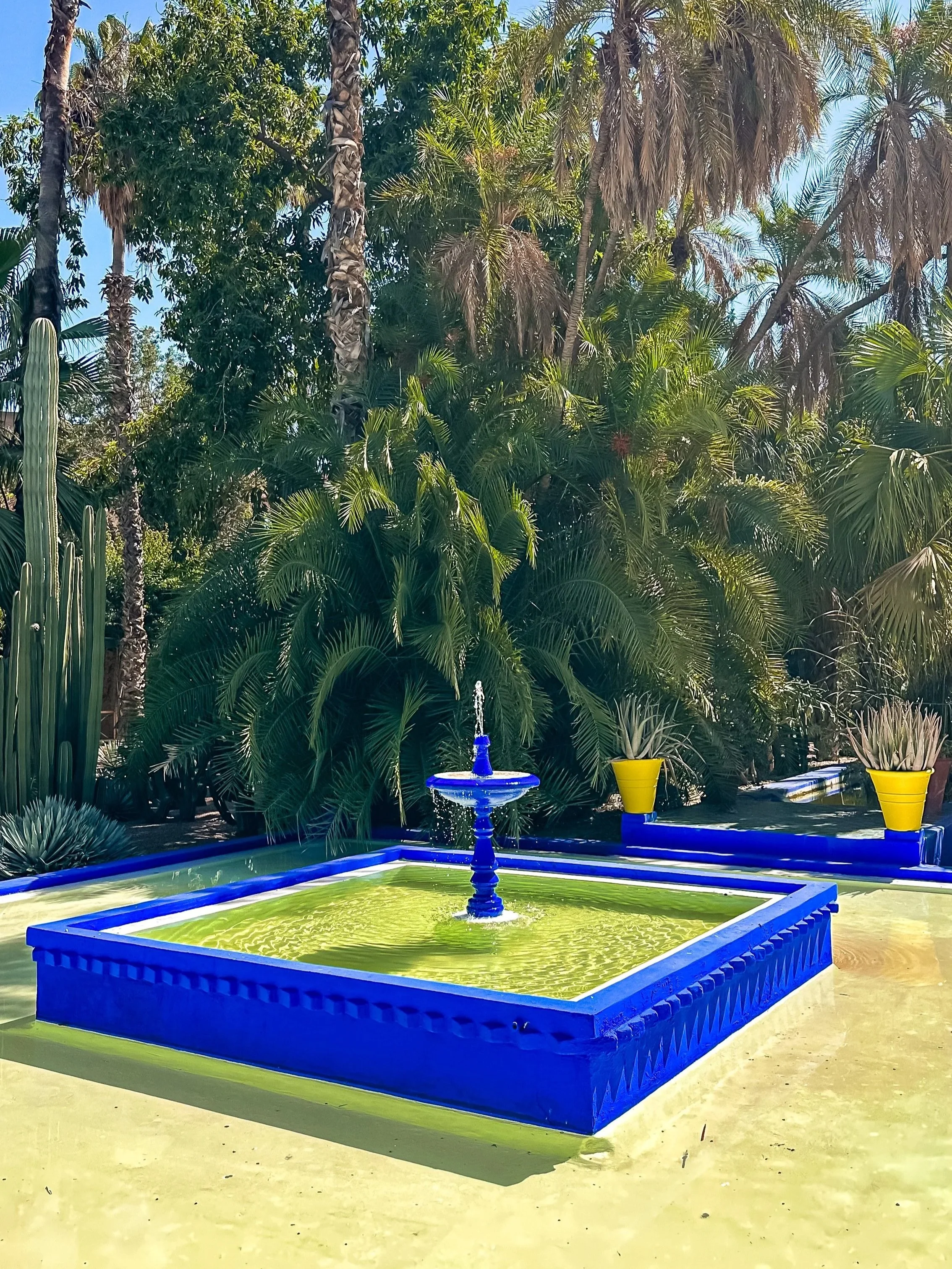 wander-senses-marrakech-jardin-majorelle-gardens-fountain.jpg