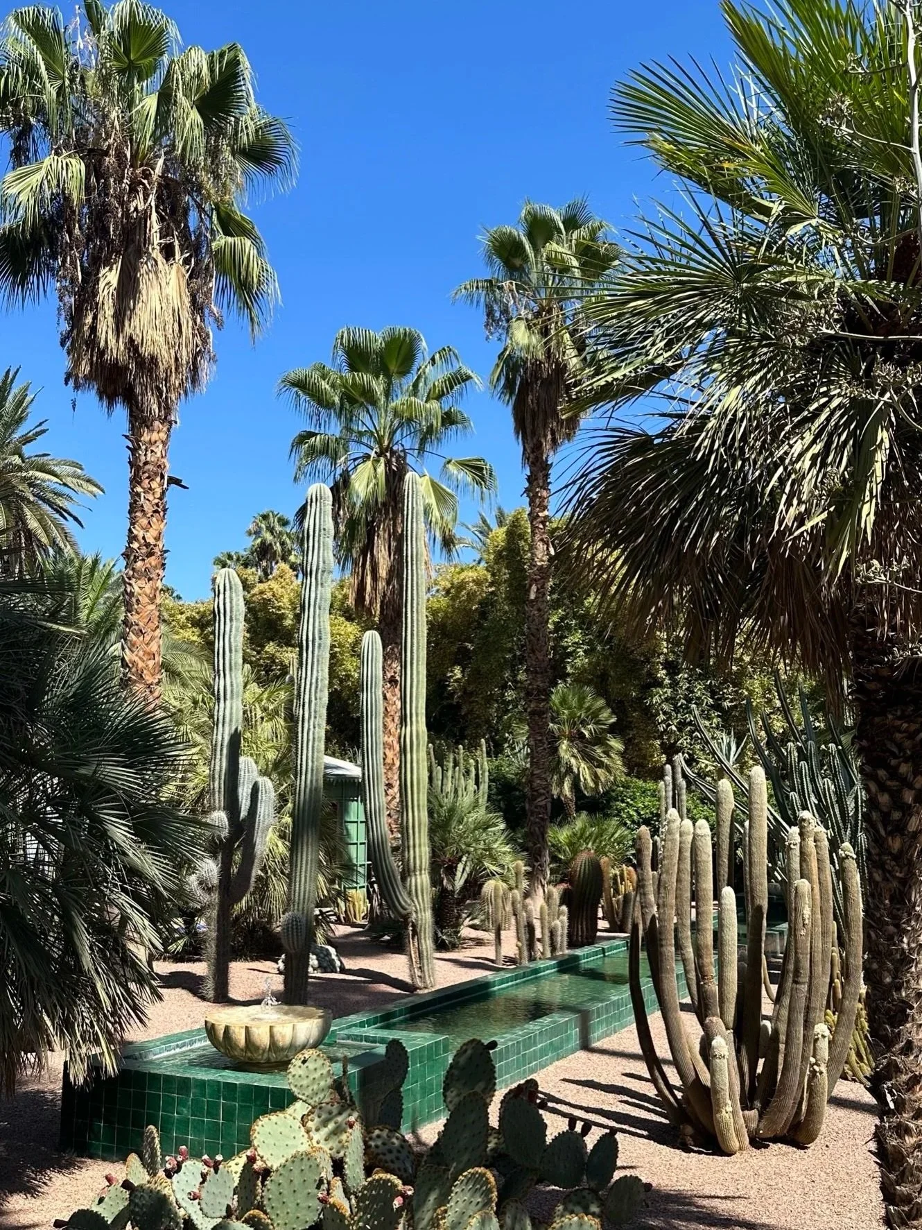 wander-senses-marrakech-jardin-majorelle-gardens.jpg