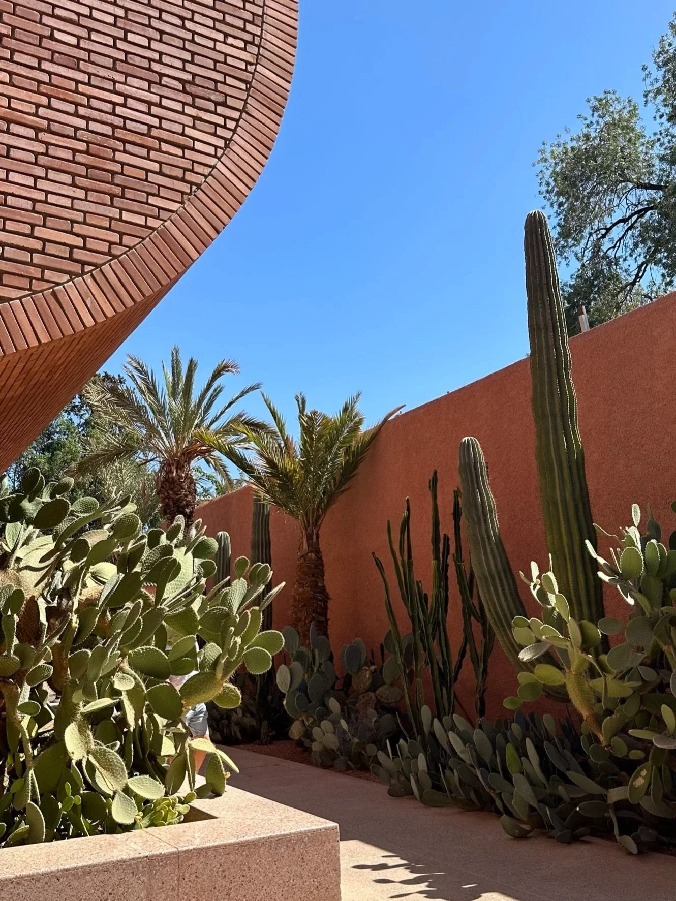 wander-senses-marrakech-yves-saint-laurent-museum-exteriors-garden.jpg
