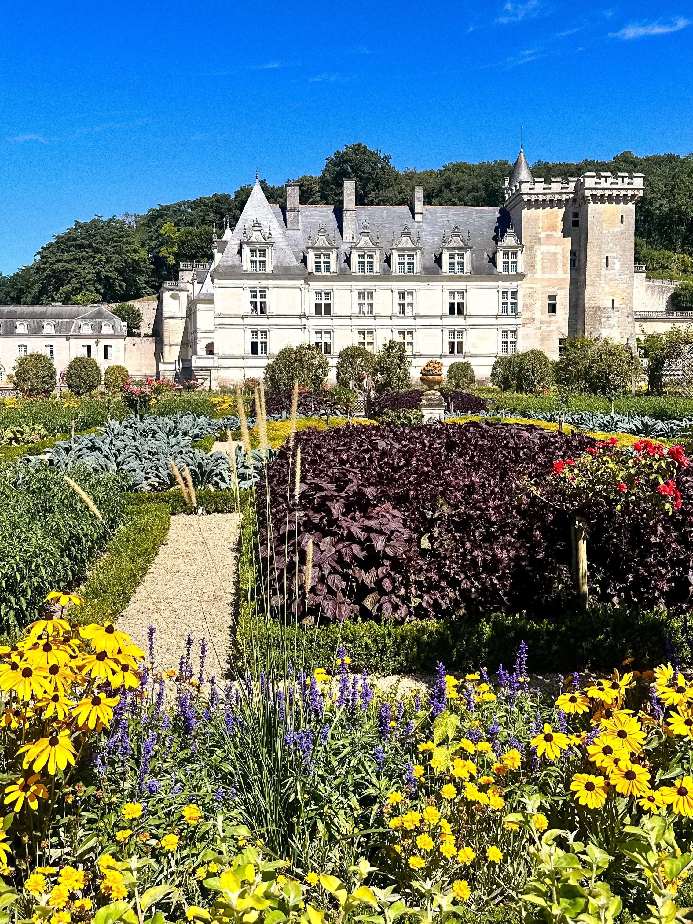 wander-senses-gardens-of-chateau-de-villandry-france.jpg