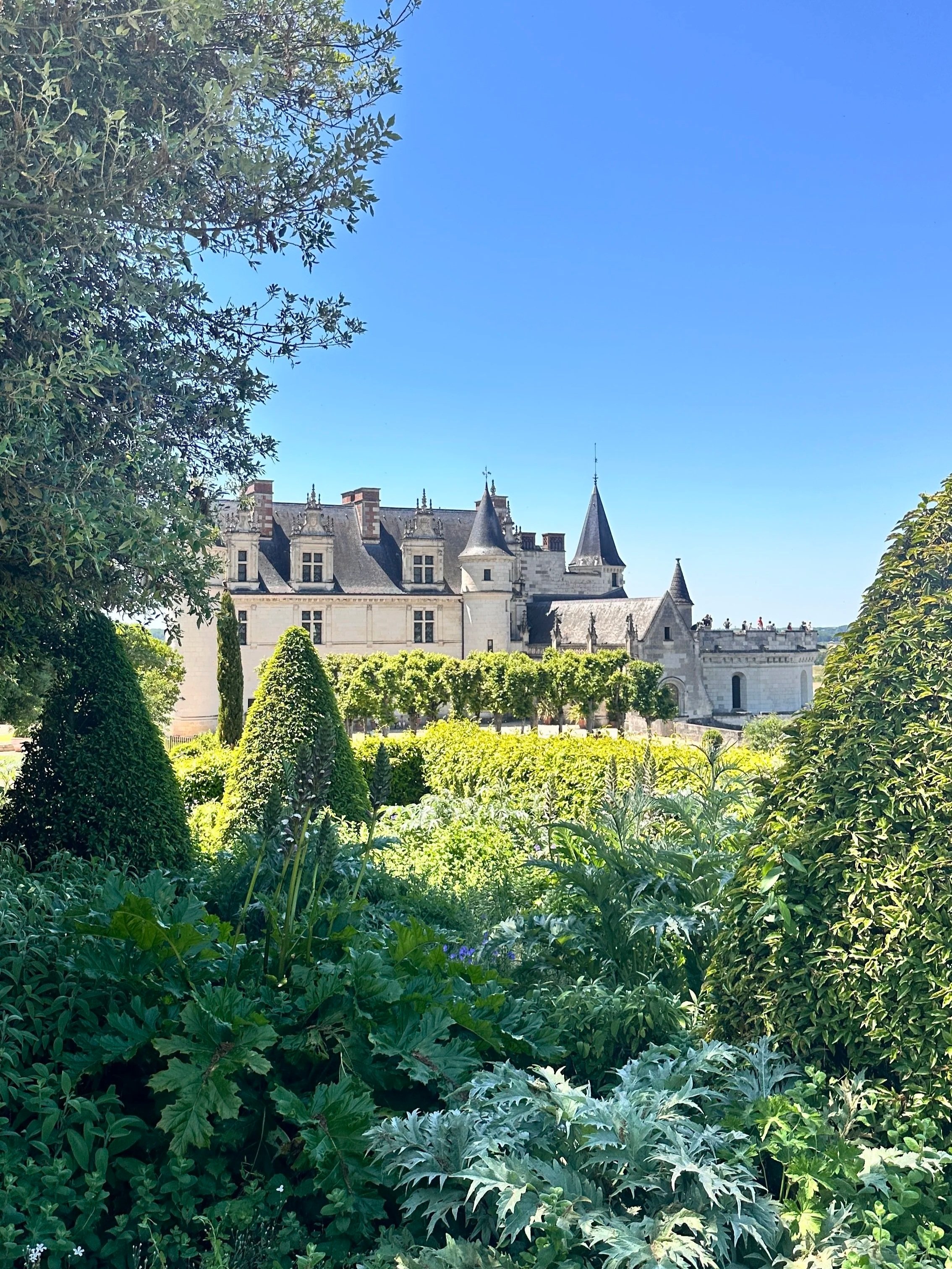 wander-senses-gardens-of-chateau-amboise-france.jpg