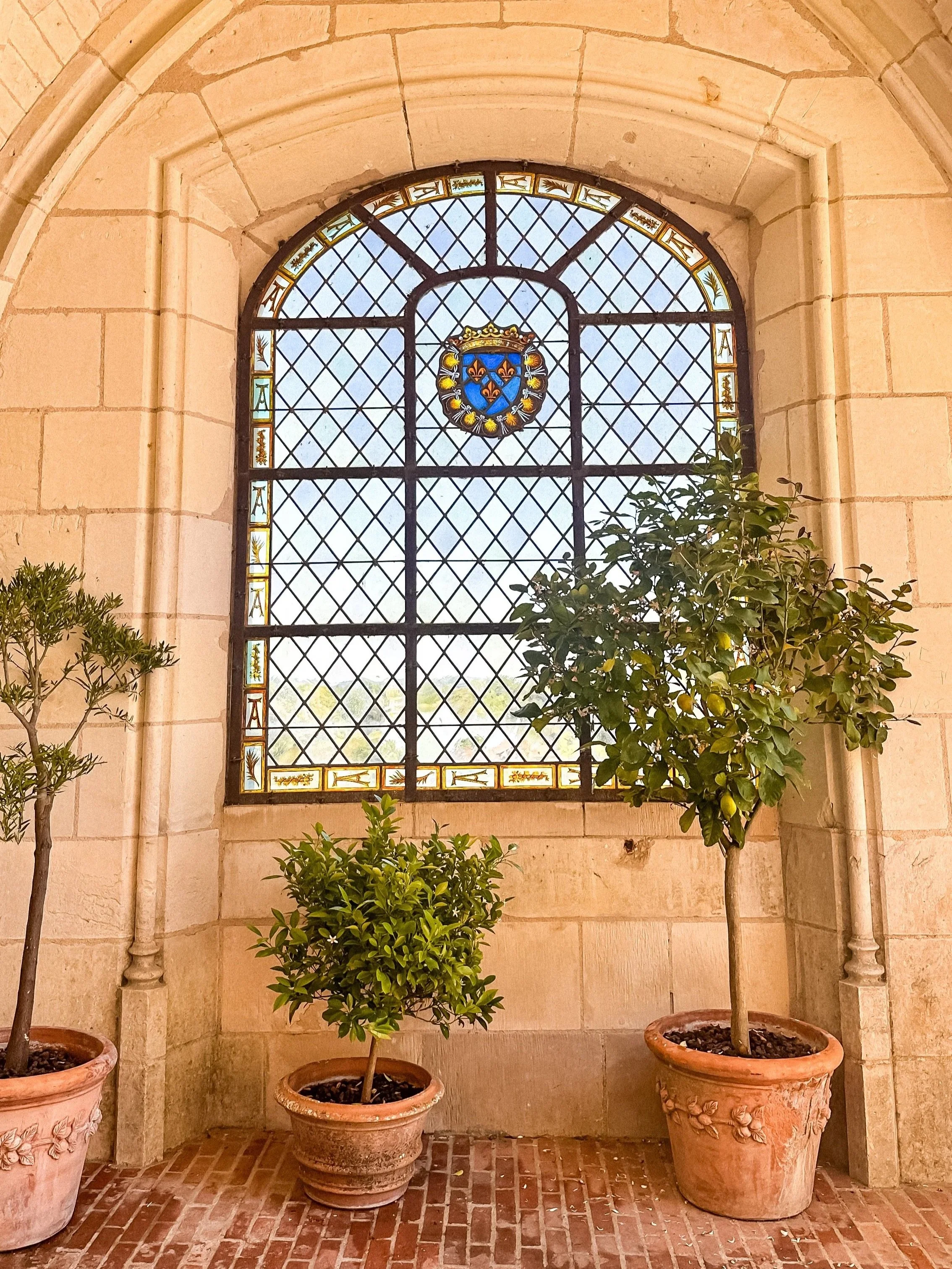 wander-senses-gardens-of-chateau-amboise-france.jpg