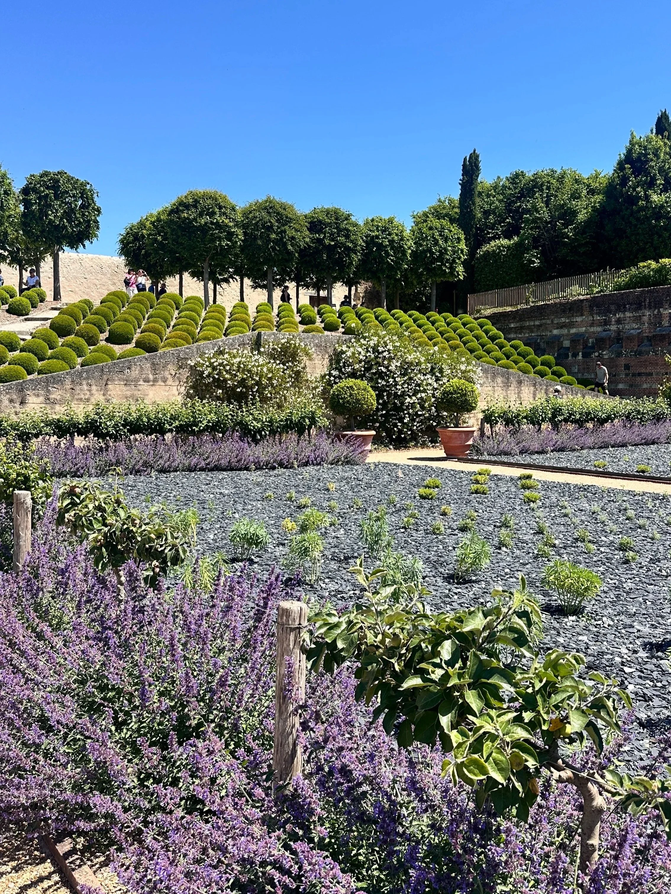 wander-senses-gardens-of-chateau-amboise-france.jpg