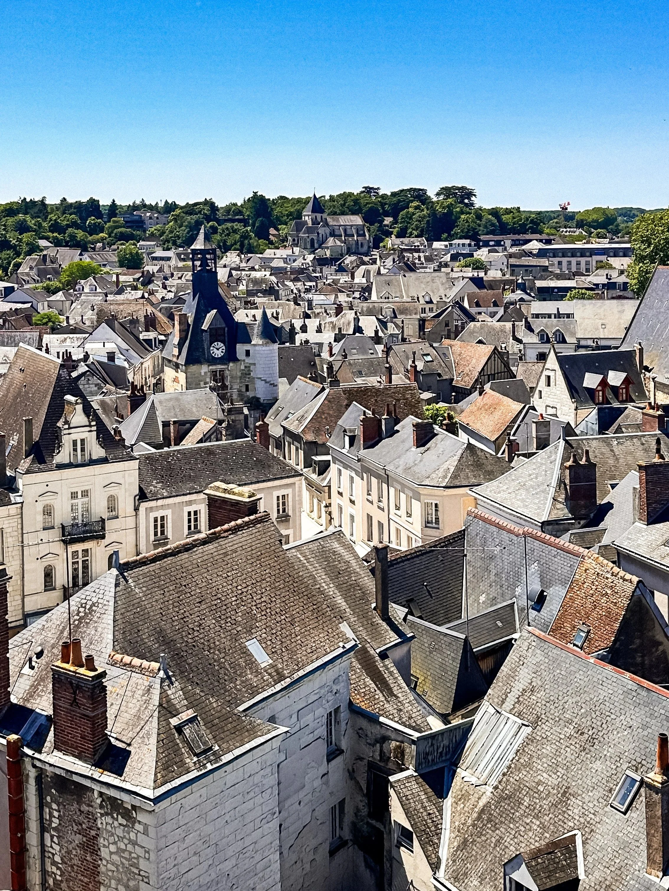 wander-senses-chateau-amboise-views-over-the-city.jpg