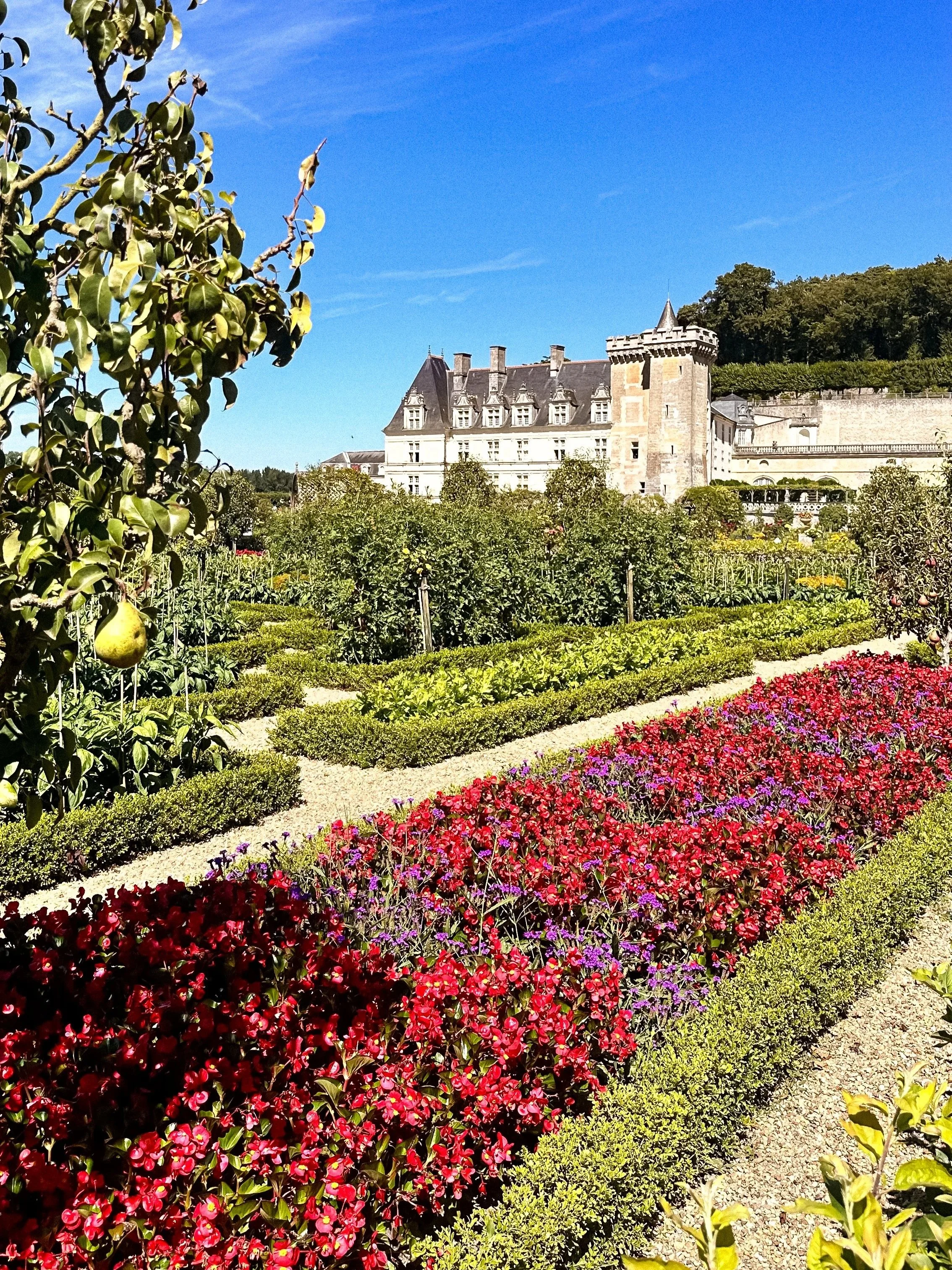 wander-senses-gardens-of-chateau-de-villandry-france.jpg