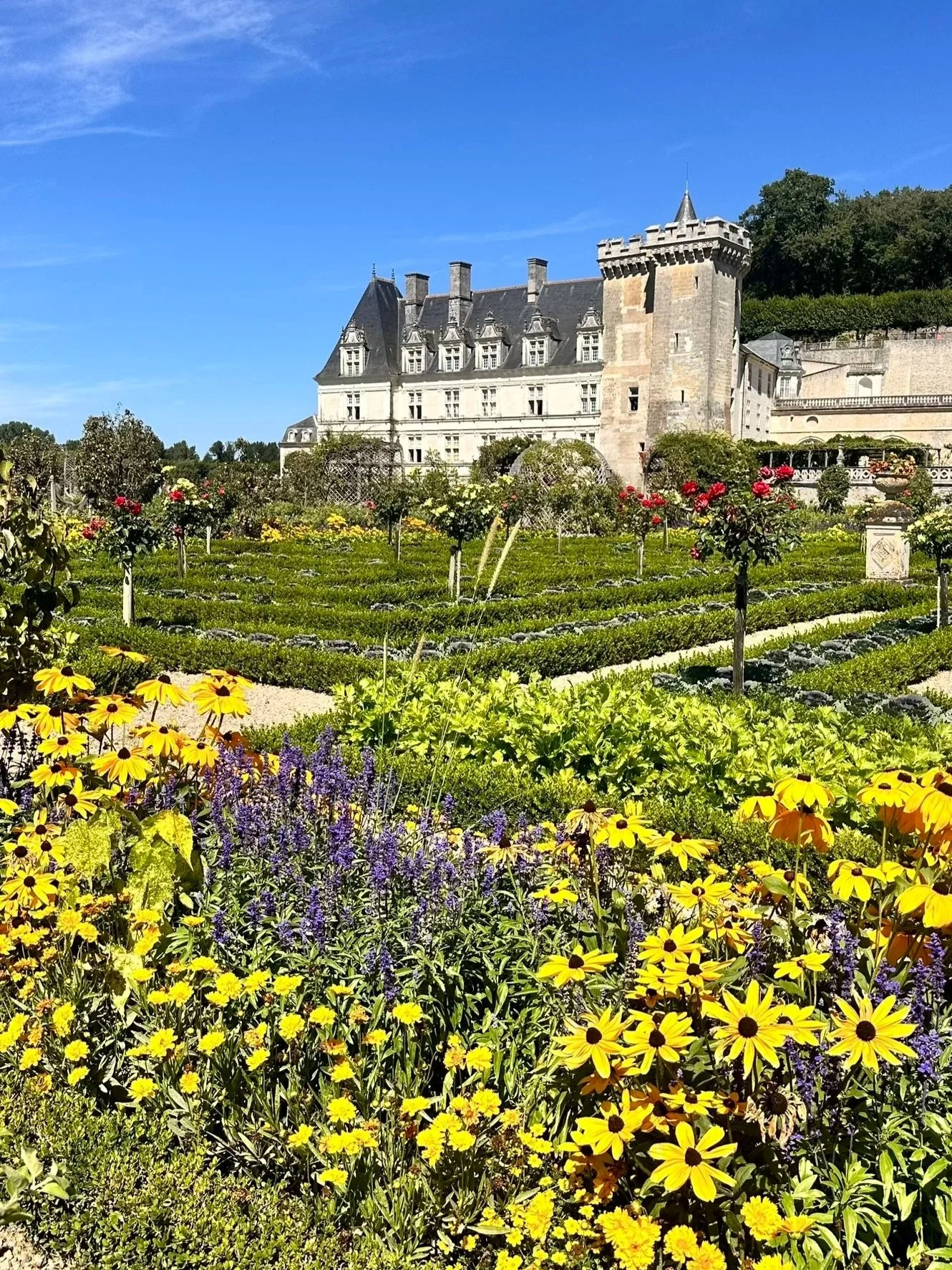 wander-senses-gardens-of-chateau-de-villandry-france.jpg