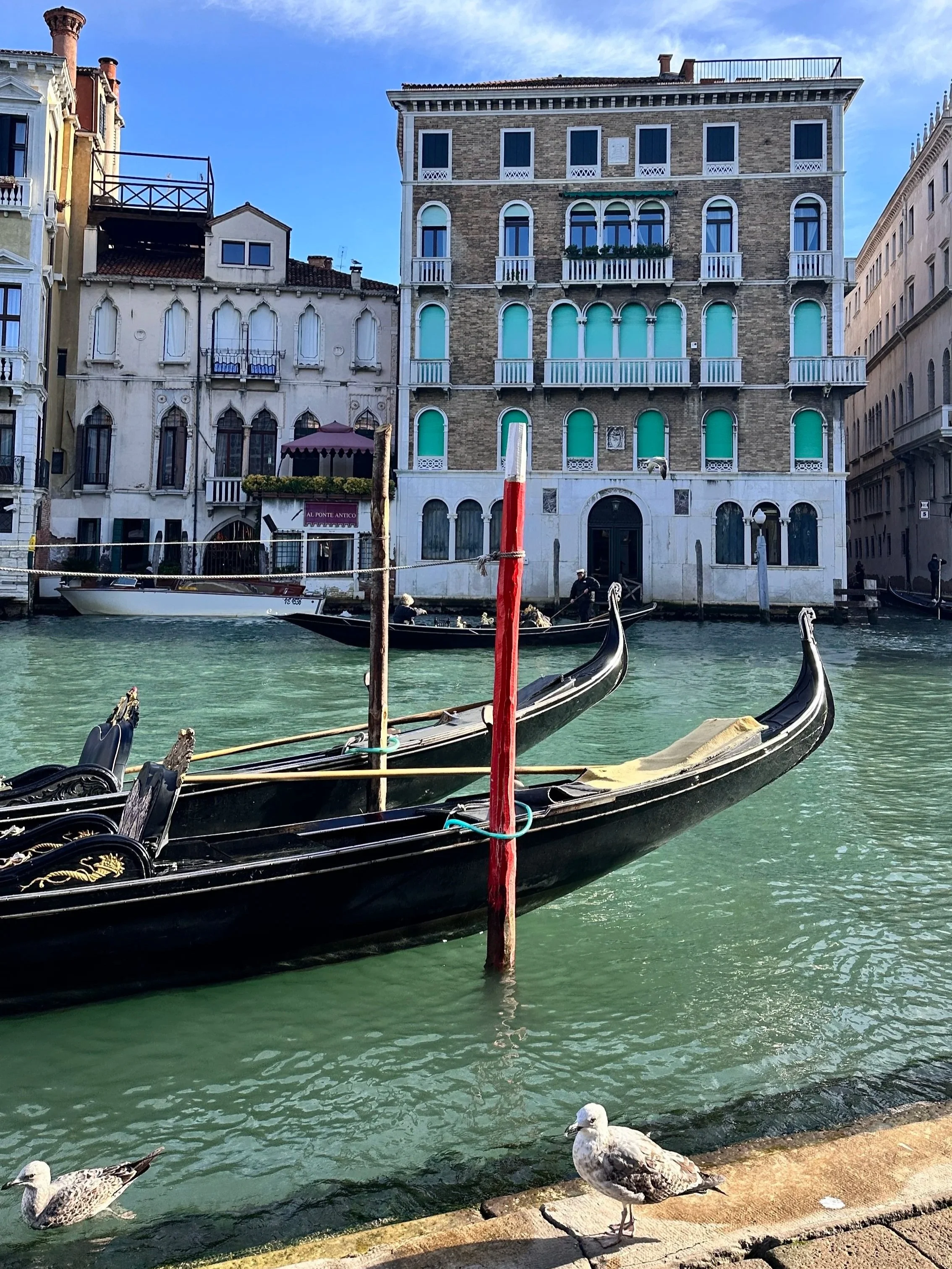Rialto Market