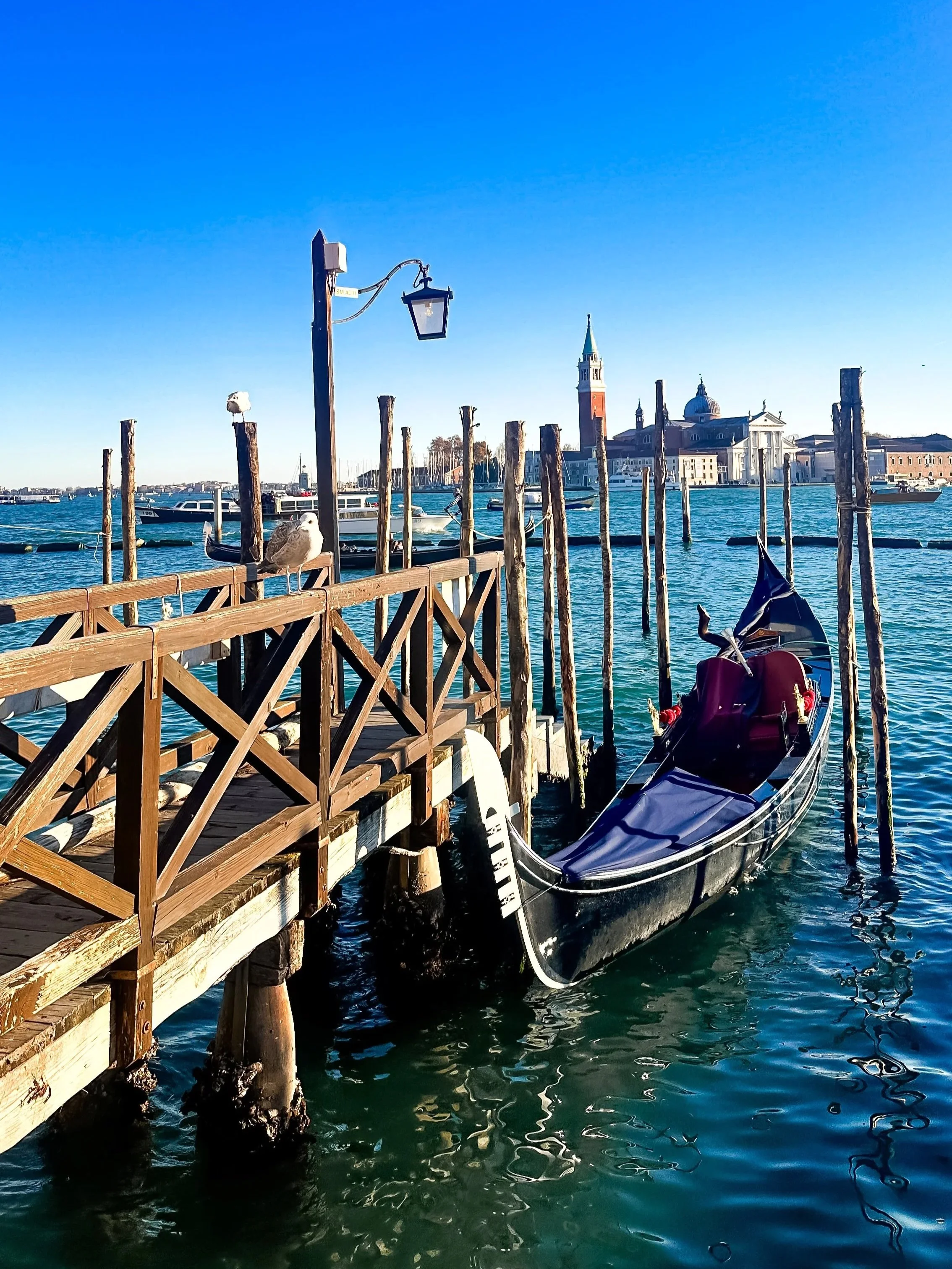 wander-senses-piazza-san-marco-front-canal-gondolas-seagulls-venice.jpg